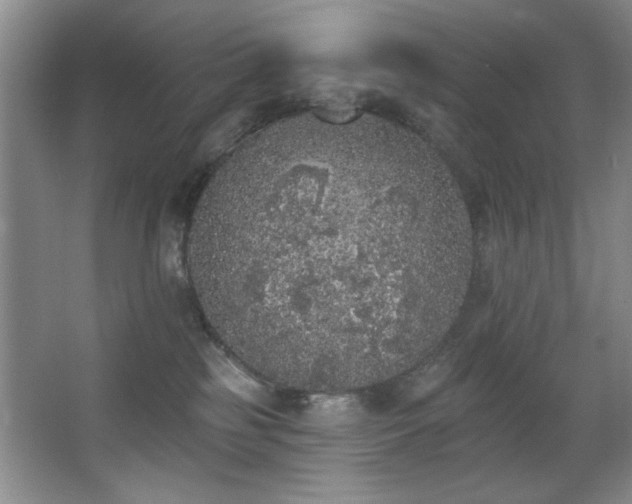 X0000067900185200604131404