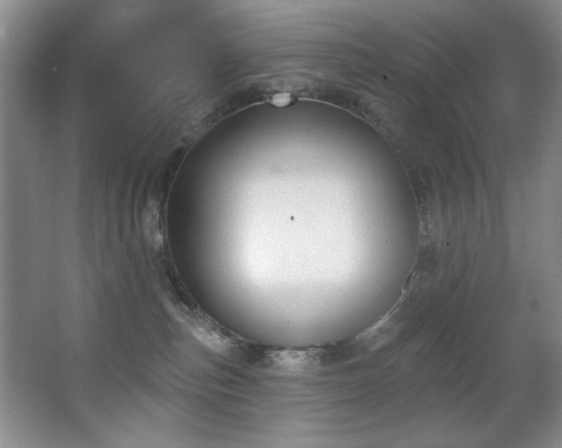 X0000067900187200604131404