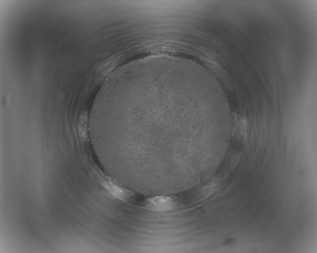 X0000067900189200604131404