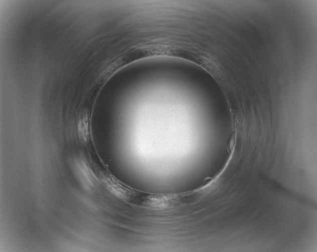 X0000067900190200604131404