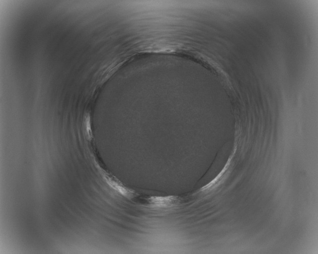 X0000067900192200604131404