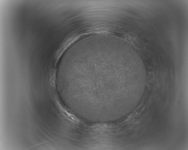 X0000067900194200604131403