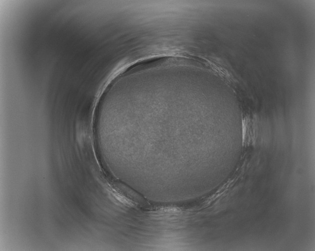 X0000067900195200604131403