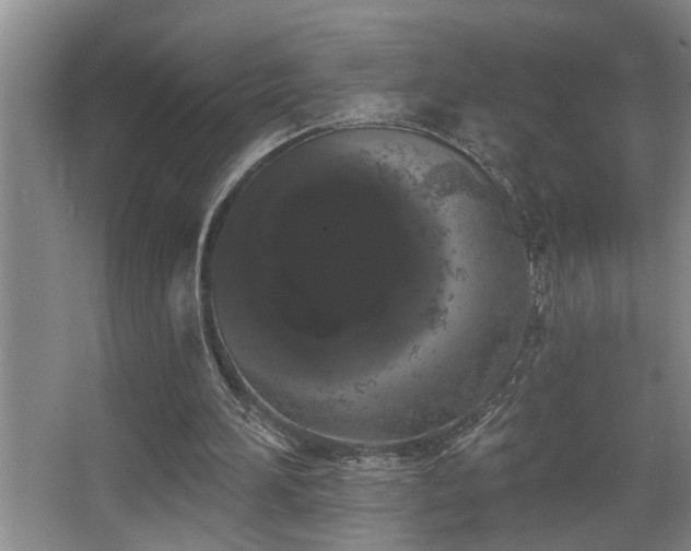 X0000067900196200604131403