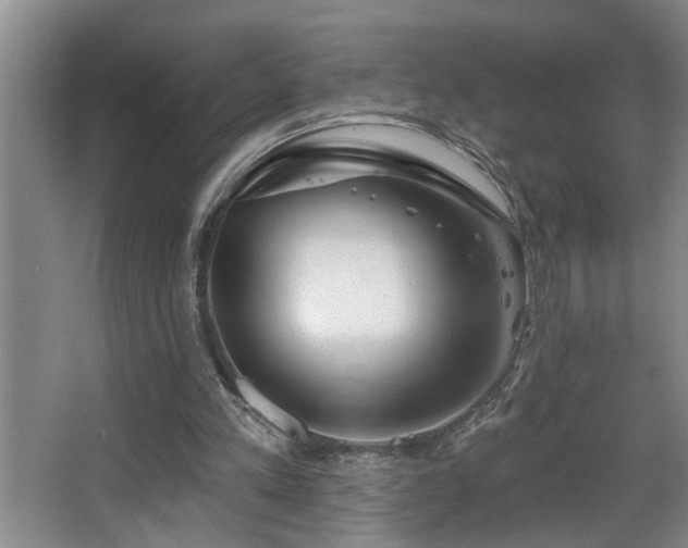 X0000067900197200604131403