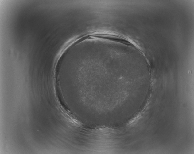 X0000067900199200604131403