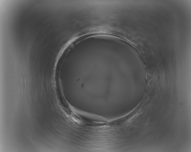 X0000067900200200604131403