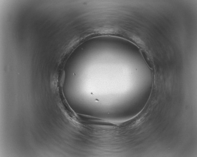 X0000067900201200604131403