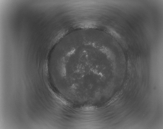 X0000067900202200604131403