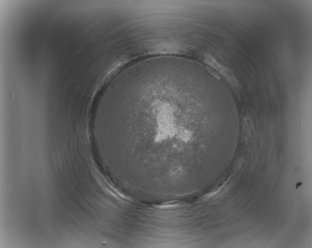 X0000067900203200604131403