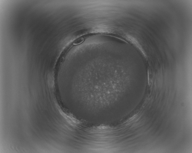 X0000067900204200604131403