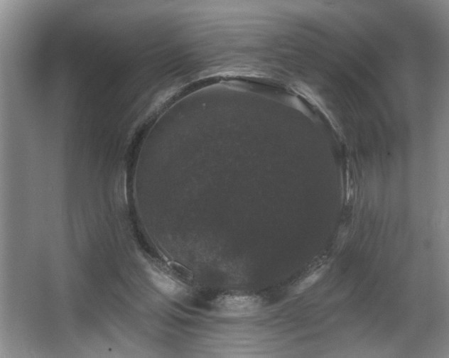 X0000067900205200604131403