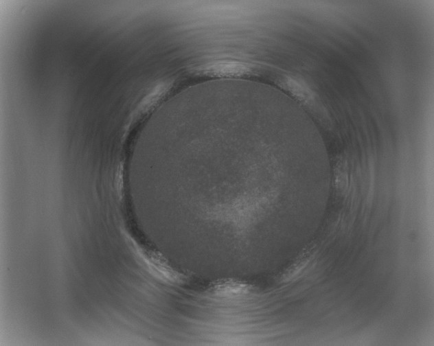 X0000067900206200604131403