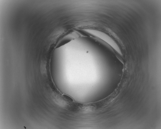 X0000067900209200604131403