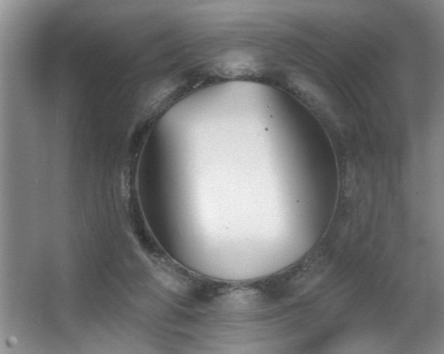 X0000067900210200604131403