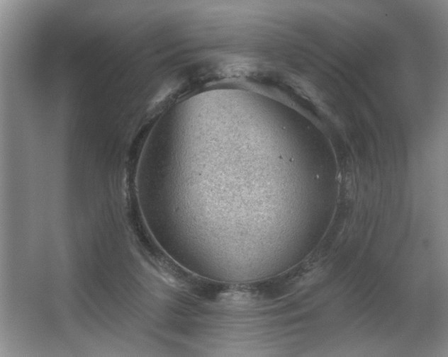 X0000067900211200604131403