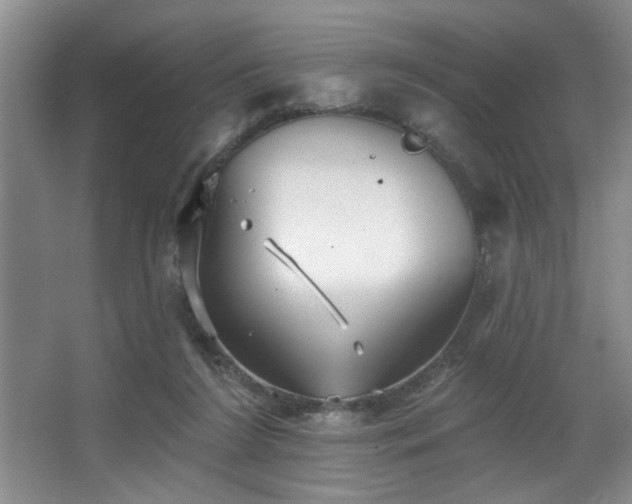 X0000067900212200604131403