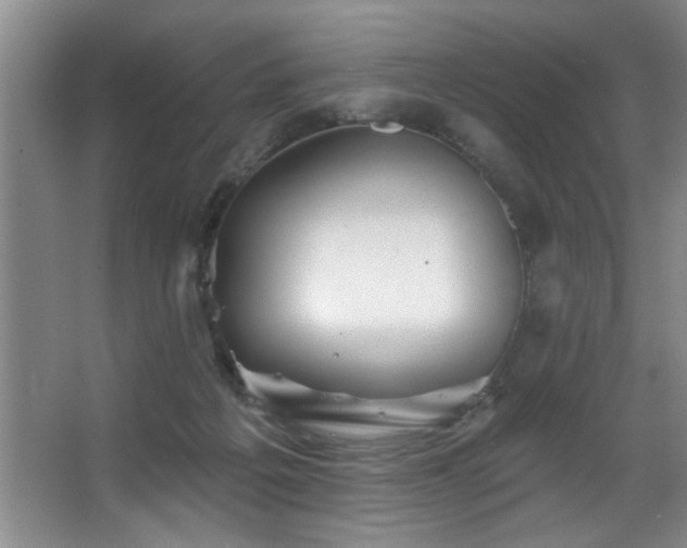 X0000067900217200604131403