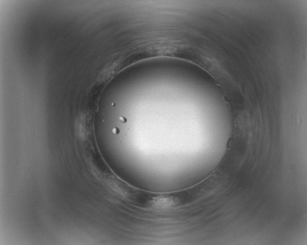 X0000067900218200604131403