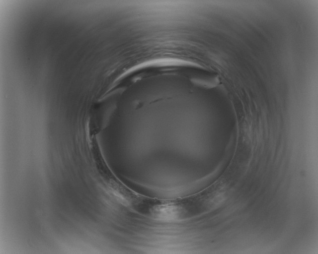 X0000067900219200604131403