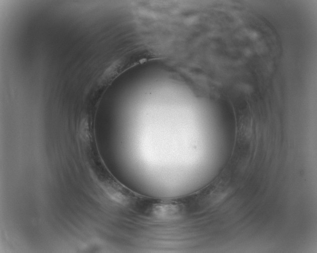 X0000067900220200604131403