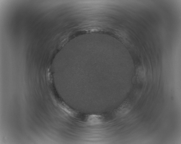 X0000067900222200604131403