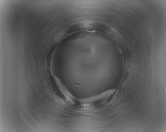 X0000067900223200604131403