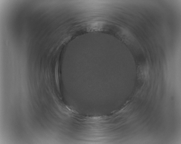 X0000067900224200604131403