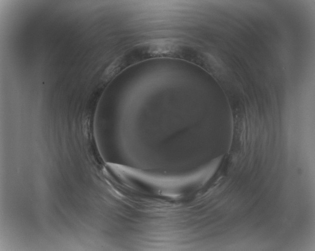 X0000067900227200604131403