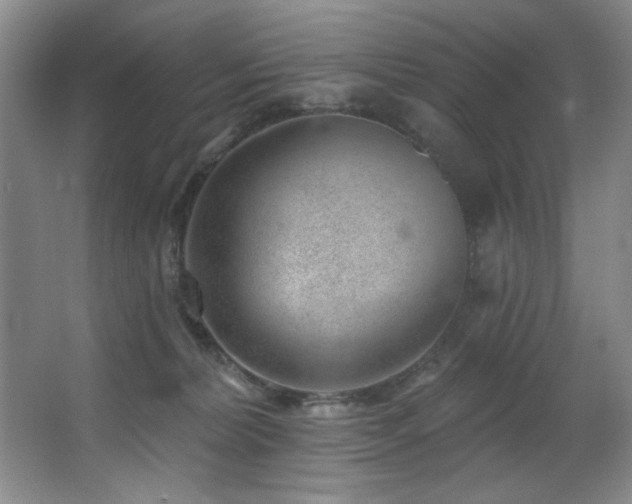 X0000067900228200604131403