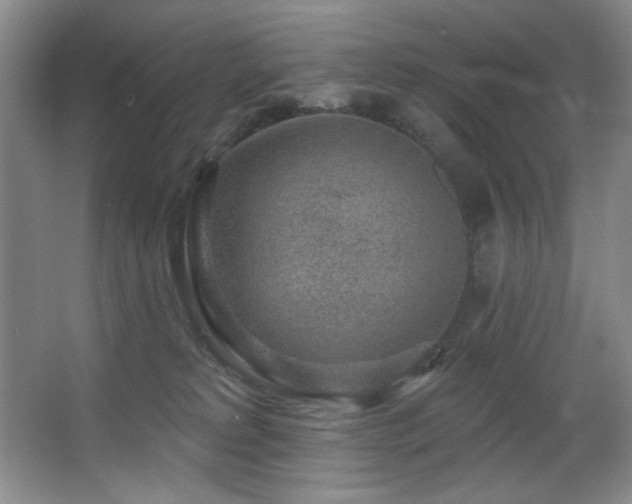 X0000067900229200604131403