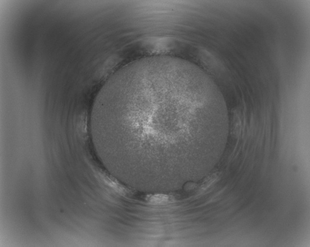 X0000067900230200604131403