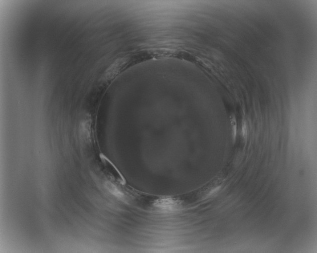 X0000067900231200604131403