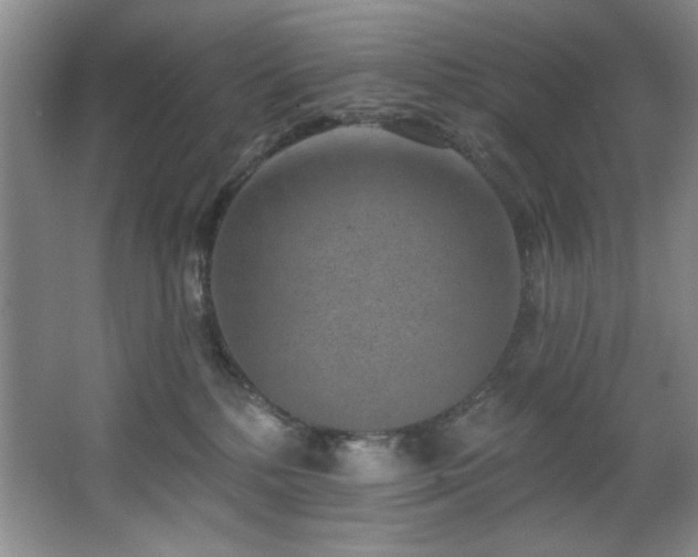 X0000067900232200604131403