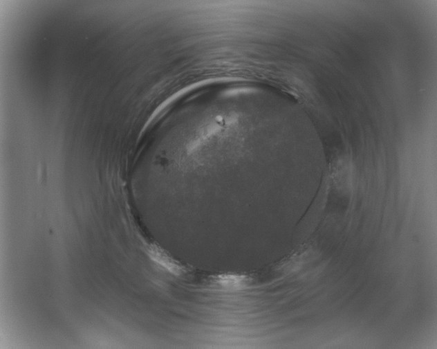 X0000067900233200604131402