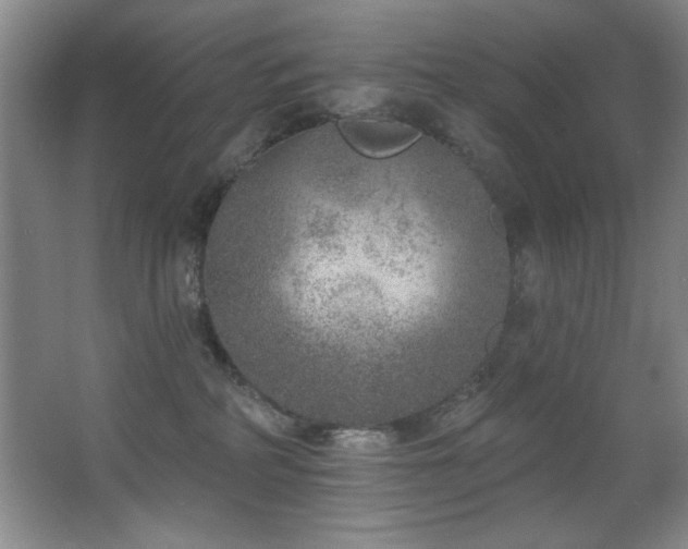 X0000067900234200604131402