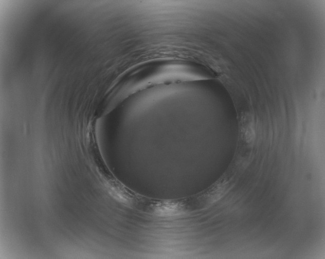 X0000067900235200604131402