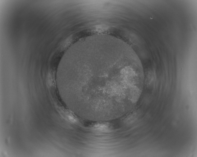 X0000067900236200604131402