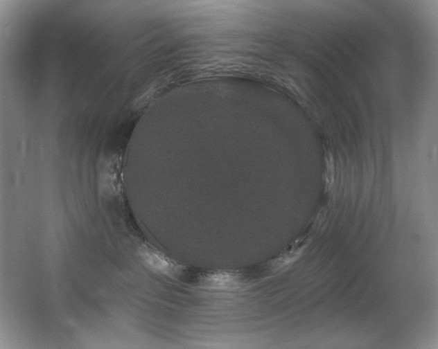 X0000067900237200604131402