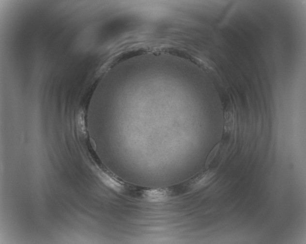 X0000067900238200604131402