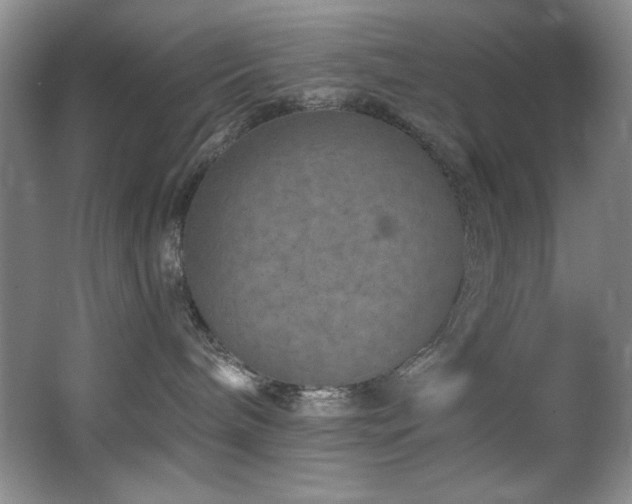 X0000067900240200604131402