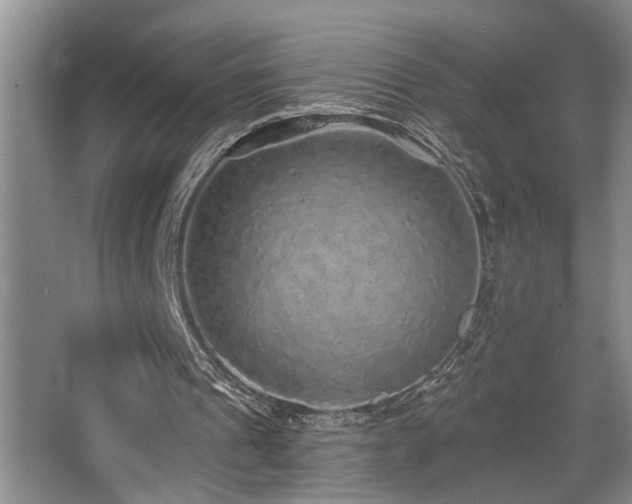 X0000067900241200604131402