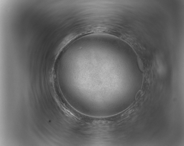 X0000067900242200604131402