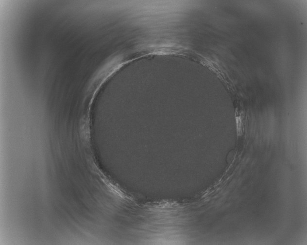 X0000067900243200604131402