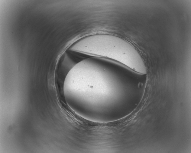 X0000067900244200604131402