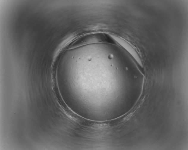 X0000067900245200604131402