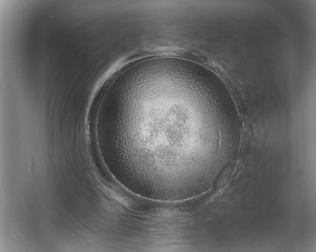 X0000067900246200604131402