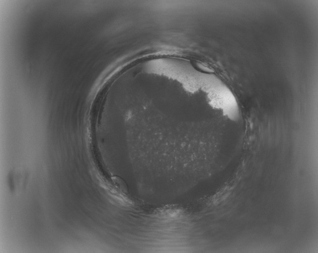 X0000067900247200604131402