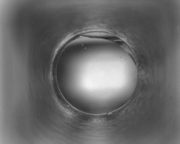 X0000067900248200604131402