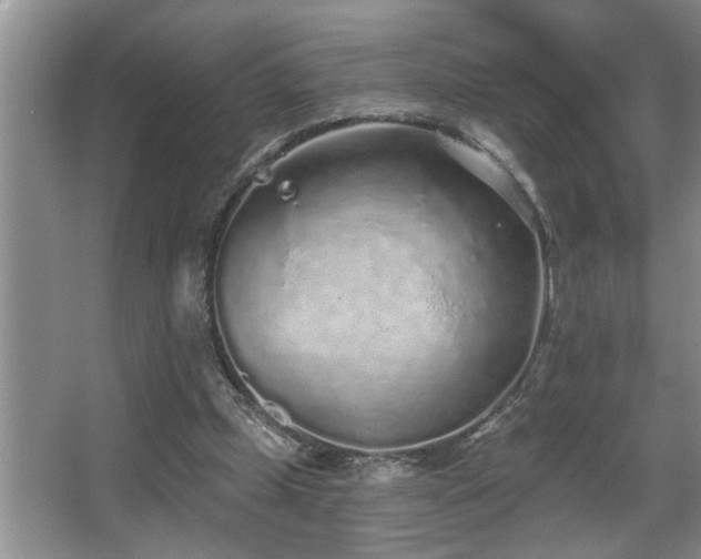 X0000067900249200604131402